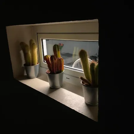 Mar&mar, Con Solarium Y Piscina *