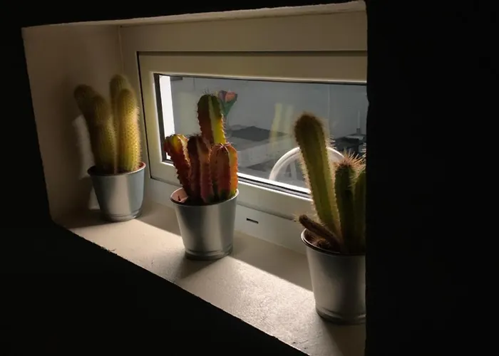 Mar&mar, Con Solarium Y Piscina *